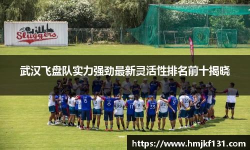 武汉飞盘队实力强劲最新灵活性排名前十揭晓